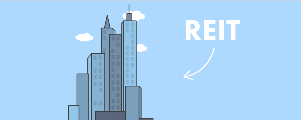 Какими активами владеют REIT? What assets do REITs own?